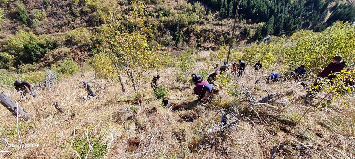 Forests Without Frontiers tweet media