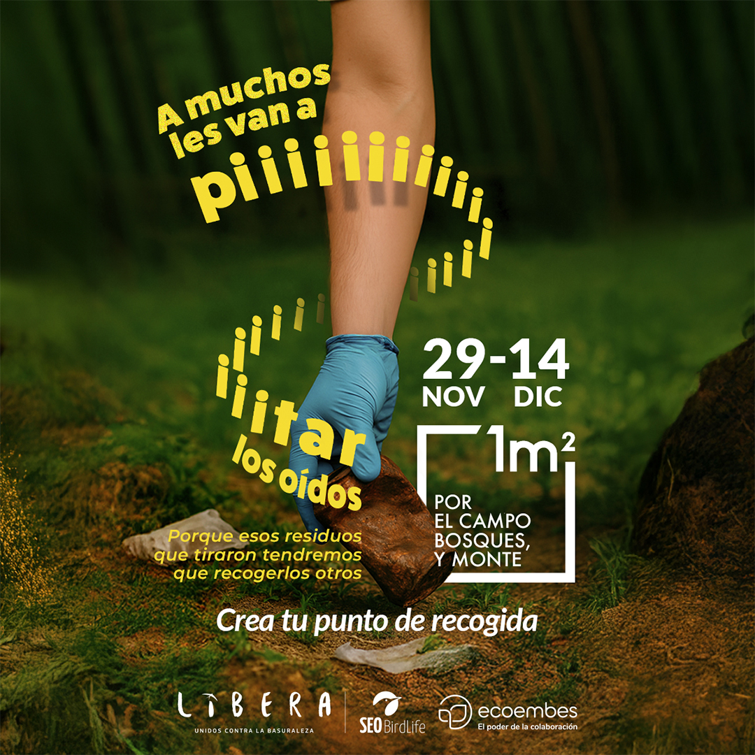 depespana's tweet image. El #DeporteEspañol continúa movilizándose por la campaña #LIBERA1m2 por el Campo, Bosques y el Monte. Tienes hasta el 13 de diciembre para sumarte con tu punto de recogida Regístralo 👉: proyectolibera.org/proximos-event… #ProyectoLIBERA  #GreenSportFlag @ecoembes @SEO_BirdLife @depespana