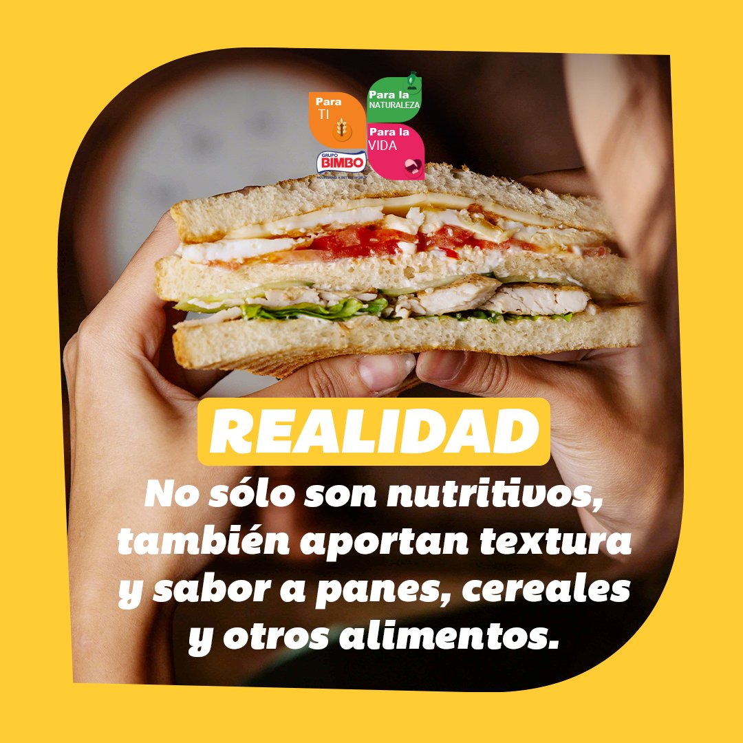 En este Día Internacional del Grano Entero, te invitamos a descubrir el mito y la realidad detrás de ellos. Lee más aquí:  bimboglobalrace.com 🌾🍞
#BGR2025 #CompartimosLoBueno #CorrerMeMueve