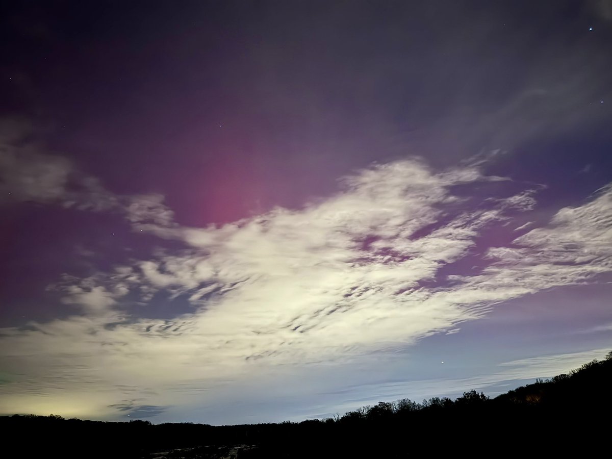 Sarah Anderson tweet media