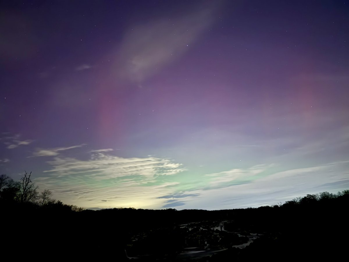 Sarah Anderson tweet media