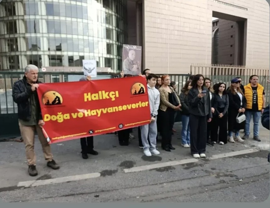 Örgütlü Davranış Sonuç Aldı: 
Bakırköy Cumhuriyet Başsavcılığı, Adliye ve Çevresini Evleri Belleyen Kedicanlarımızı Toplatma Kararından Vazgeçti!

hkp.org.tr/orgutlu-davran…