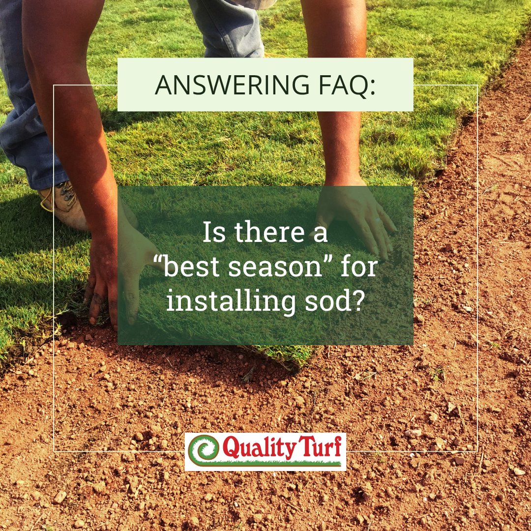 There’s no bad time to lay sod in Southern California! 💧

While certain varieties thrive more in specific seasons, you can install year-round with great results. 💚🍃

📞 951-654-7721 | 🔗 qturf.com

#LawnCareTips #NewSodCare #SoCalLawnAdvice