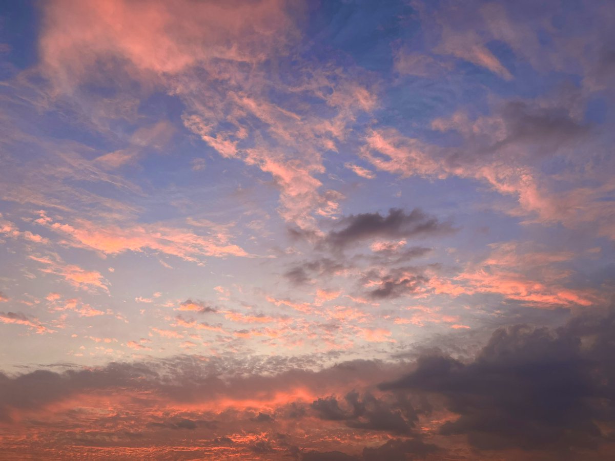 🌻 (@_dera_10) on Twitter photo 