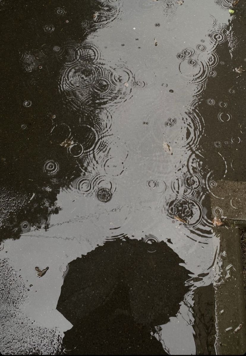 الإشتياق شعورٌ يشبه المطر…
يجيءُ دون موعد، يهطُلُ على القلبِ بغتة،
فيغسلهُ حنينًا، ويُزهرهُ إمتنانًا لمن غاب وما غاب أثرُه.

-رُواء🍂