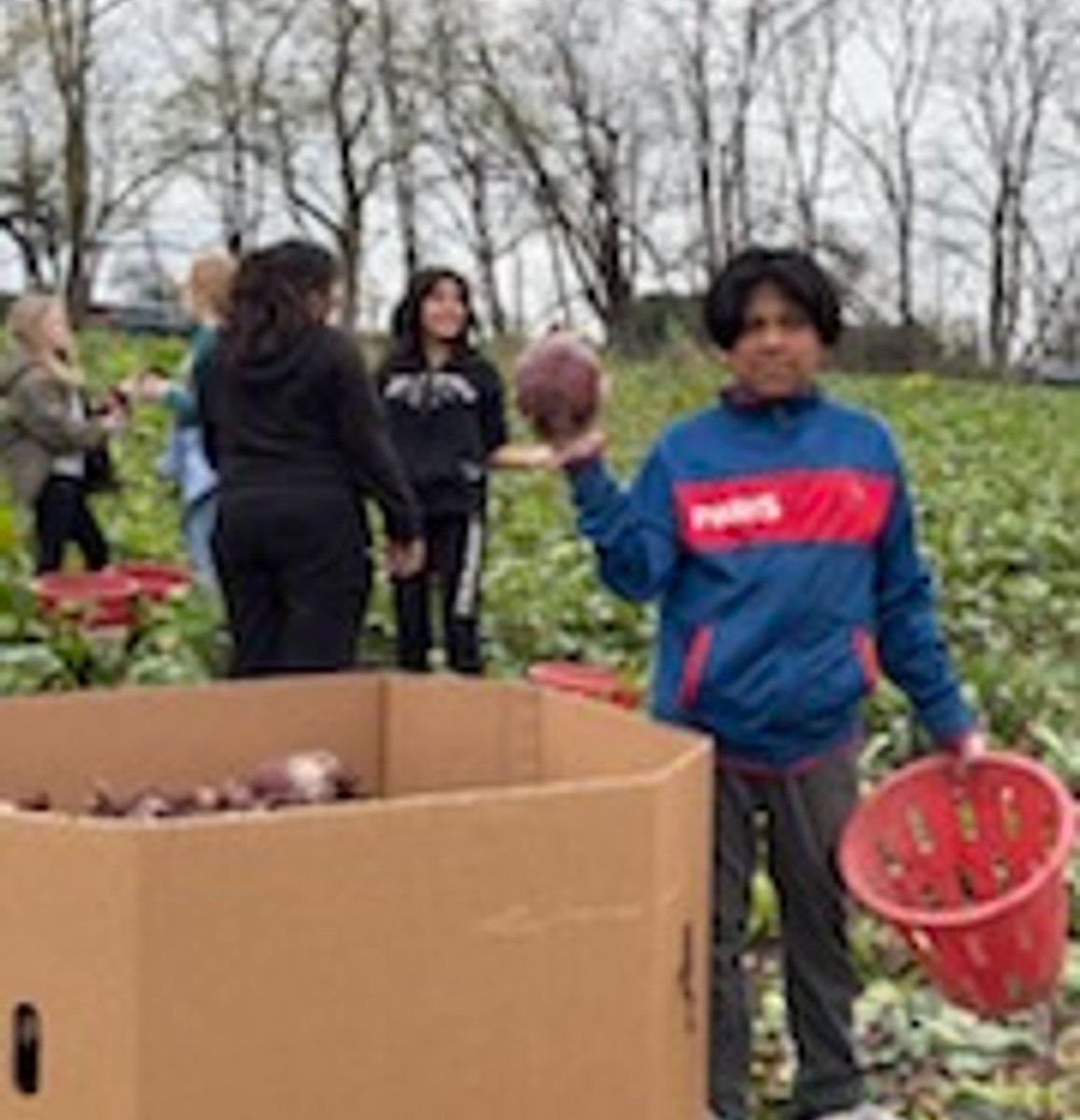 nbps_bbv's tweet image. 🌱 Proud of our Blanquita students — especially Keenan’s and Wright’s classes — for helping harvest produce at Grow a Row in Pittstown, NJ! 🥕 All food goes to local food banks &amp;amp; soup kitchens. 💚 #NBProud #GrowARow #ServiceLearning