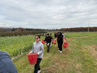 nbps_bbv's tweet image. 🌱 Proud of our Blanquita students — especially Keenan’s and Wright’s classes — for helping harvest produce at Grow a Row in Pittstown, NJ! 🥕 All food goes to local food banks &amp;amp; soup kitchens. 💚 #NBProud #GrowARow #ServiceLearning