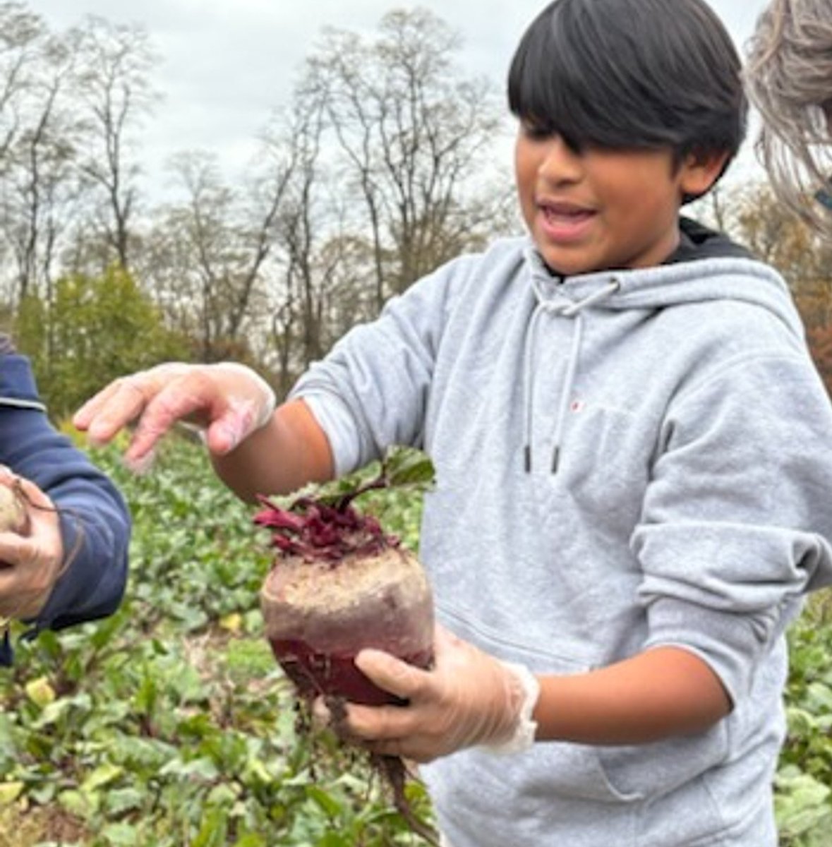 nbps_bbv's tweet image. 🌱 Proud of our Blanquita students — especially Keenan’s and Wright’s classes — for helping harvest produce at Grow a Row in Pittstown, NJ! 🥕 All food goes to local food banks &amp;amp; soup kitchens. 💚 #NBProud #GrowARow #ServiceLearning