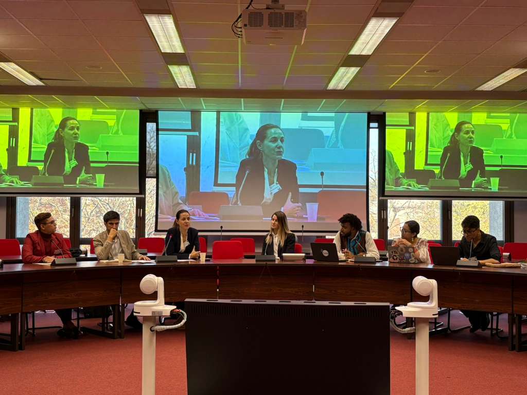 UNDPEU's tweet image. At #EU Youth, Peace and Security Conference, @UNDP presented initiatives &amp;amp; inclusive policies enabling young people’s meaningful participation in decision making in LAC region. 

Young peacebuilders from Honduras, Colombia, Ecuador &amp;amp; Haiti shared their local perspectives.

#YPS