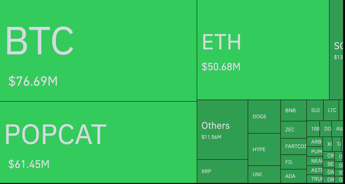 🚨 JUST IN : 

$250,000,000 worth of crypto longs liquidated in the past 60 minutes.