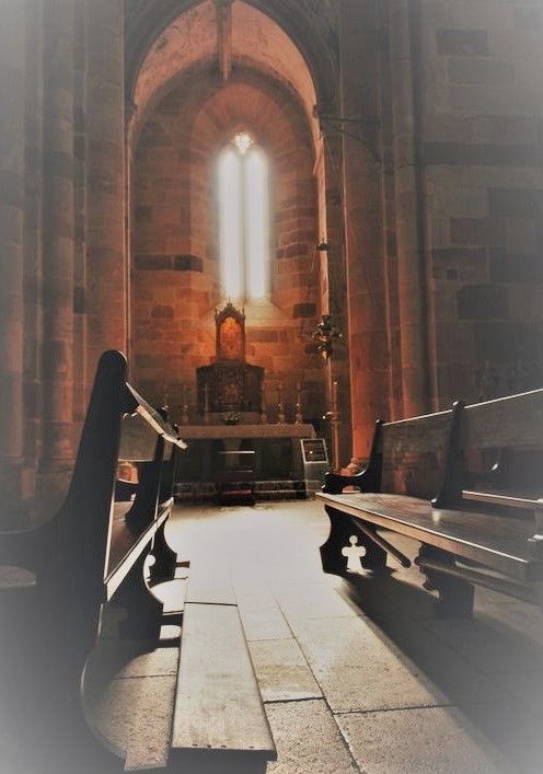 ge_lizzy's tweet image. By reading and meditating we learn our duty; but by prayer we obtain the grace to do it. 
~ St. Alphonsus Liguori. 

#orar
#pray
#pregare 

❤️