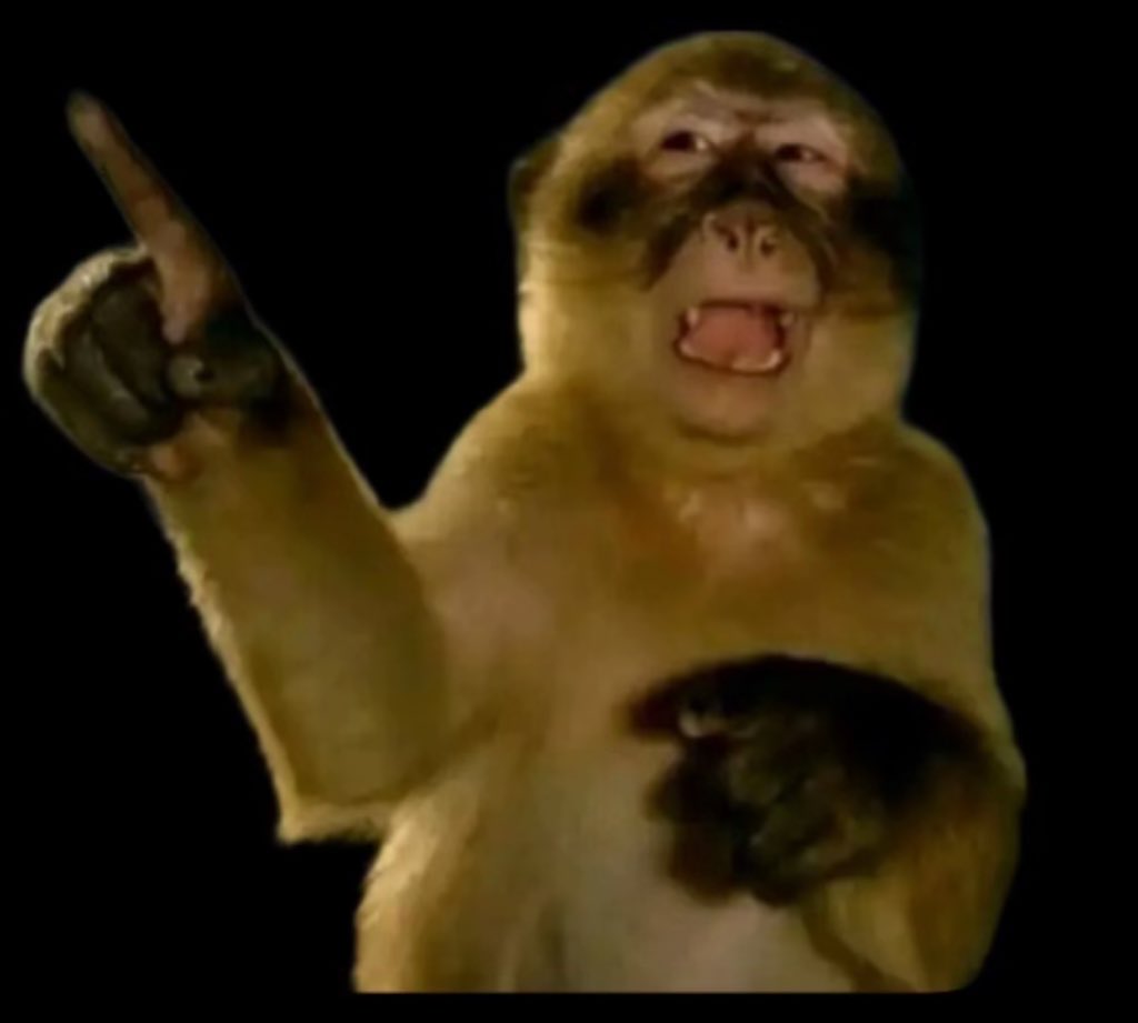 الانسه ثرثاره👸🏻 tweet media