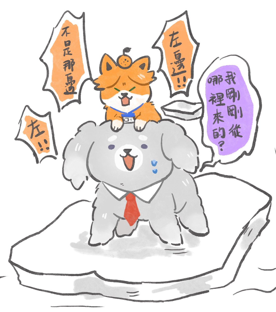 NN_sq_'s tweet photo. 狗狗好可愛
#阿萬人迷 https://t.co/oqOqrv8BJT