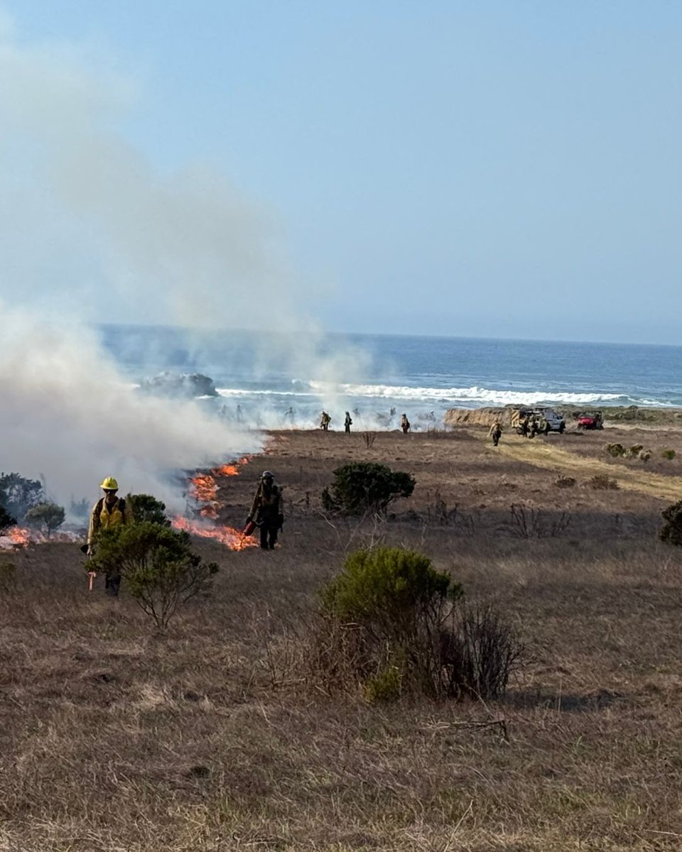 CAL_FIRE's tweet image. 🔥 Using fire for good.

CAL FIRE crews are implementing prescribed burns as part of the Vegetation Management Program (VMP), a proactive approach to reducing hazardous vegetation, restoring native species, and improving overall ecosystem health.

Each prescribed burn is…