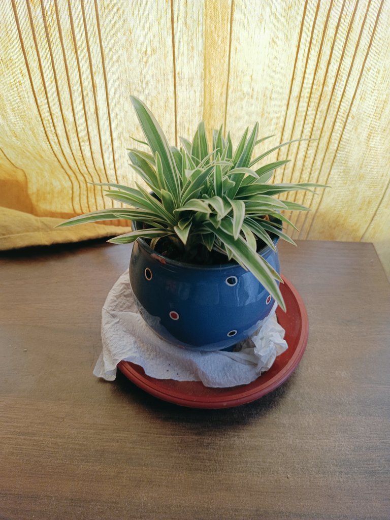 #GreenTwitter 💚

Quote something green from your gallery.