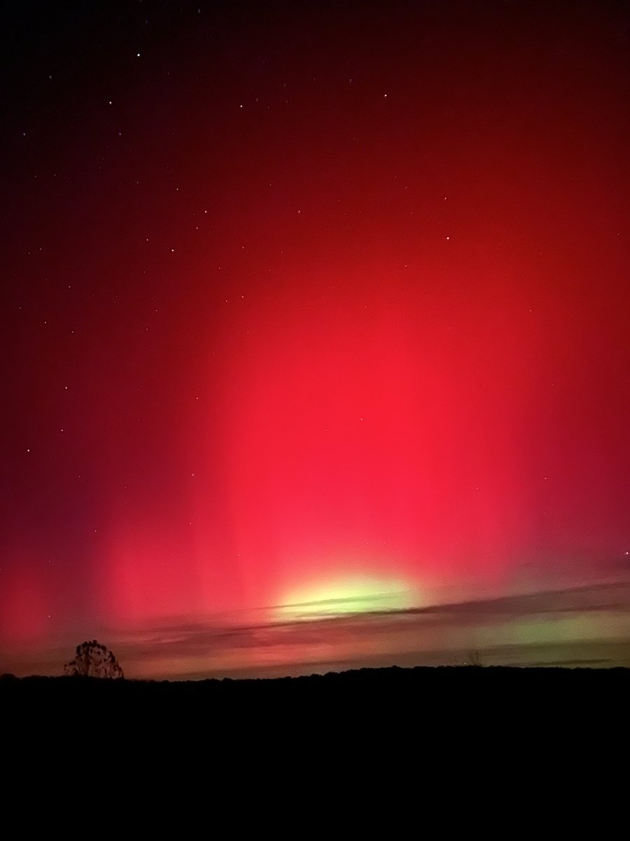 Megan Morrow tweet media