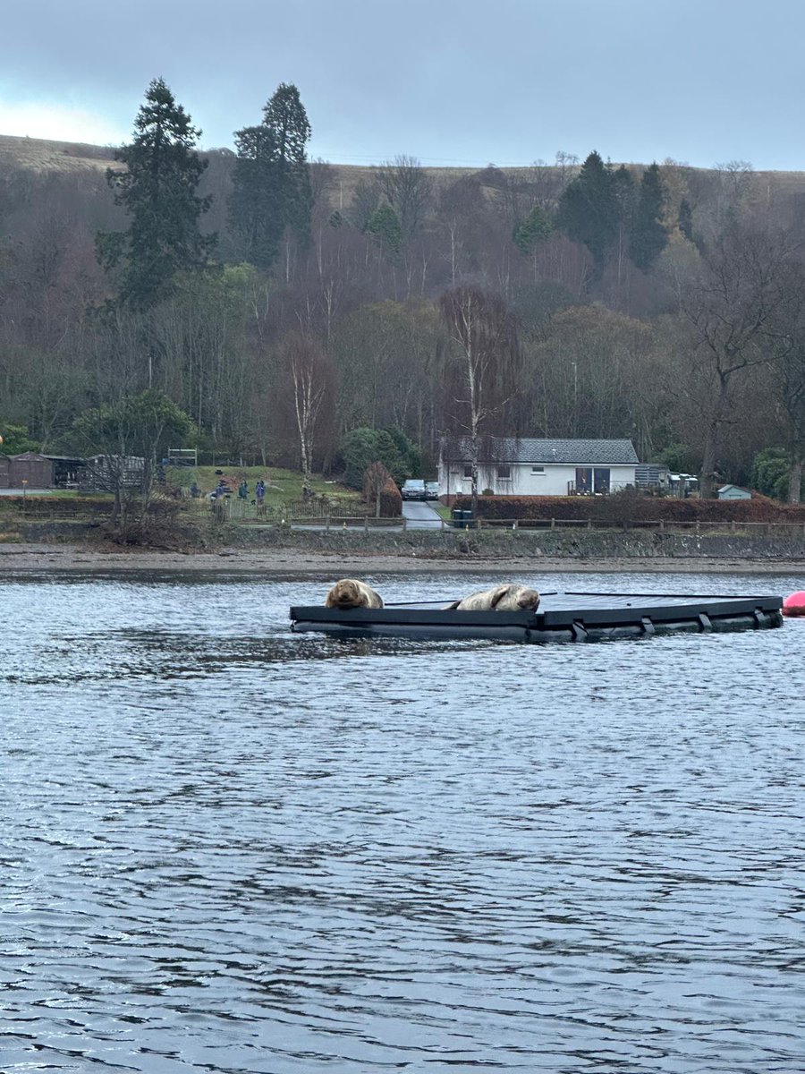 Langfaulds Primary School & LCR tweet media