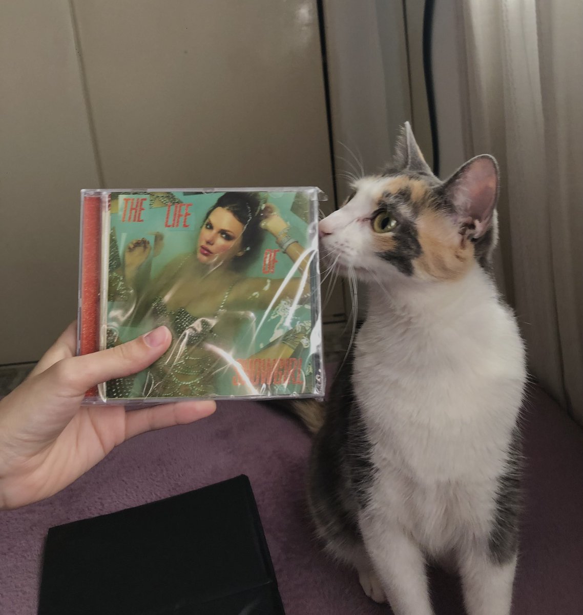 hermanas miren lo que me compré hoy 😭😭😭