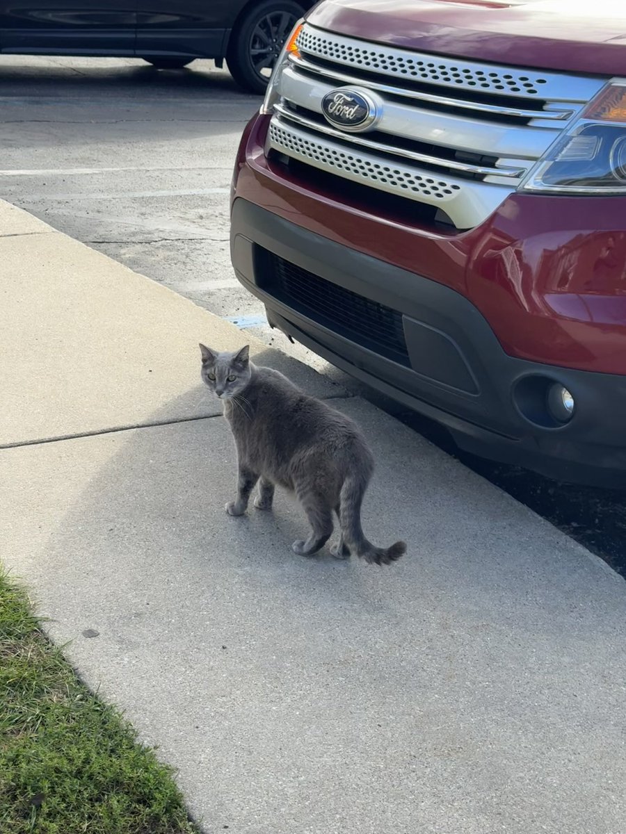 sharpestools's tweet image. life outside twitter ᢉ𐭩 ⋆｡˚  ⋆