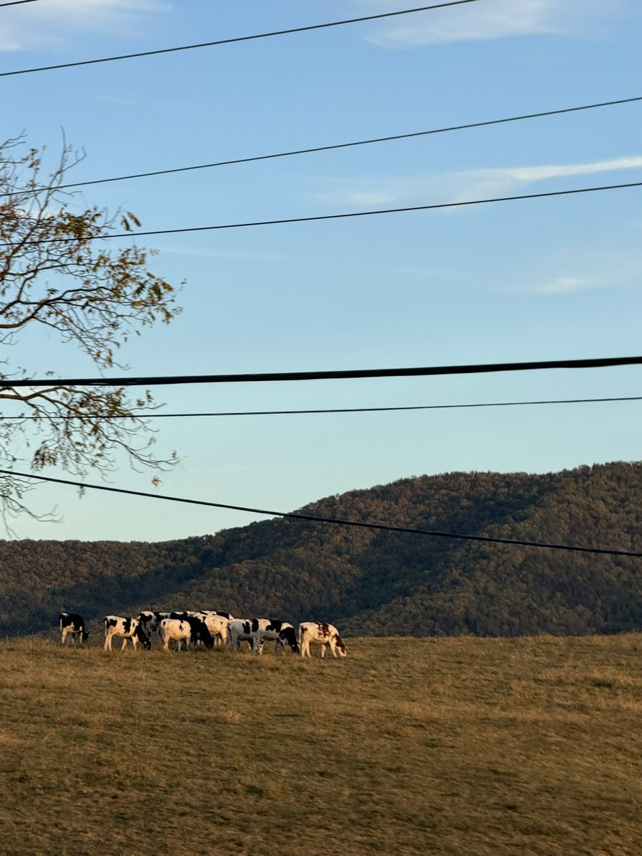 sharpestools's tweet image. life outside twitter ᢉ𐭩 ⋆｡˚  ⋆