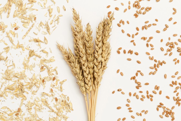 In this year on the Hebrew calendar, which is 5786, the wind of the Holy Spirit is causing separation, purifying hearts and bringing in His harvest.

Read the full devotional by Macaire Bromley 👇
dailydeclaration.org.au/2025/11/13/578…