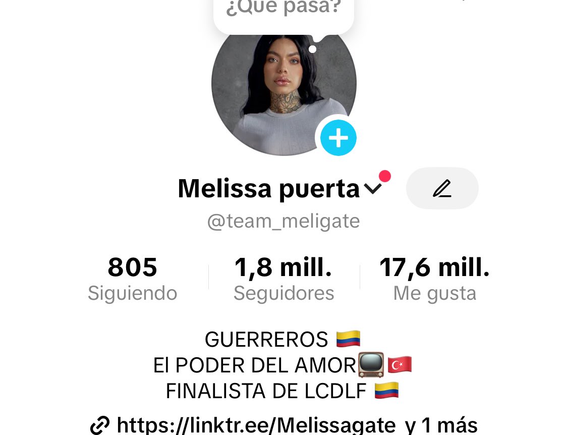 De nuevo somos 1,8 en mi cuenta secundaria de TikTok 🖤🖤