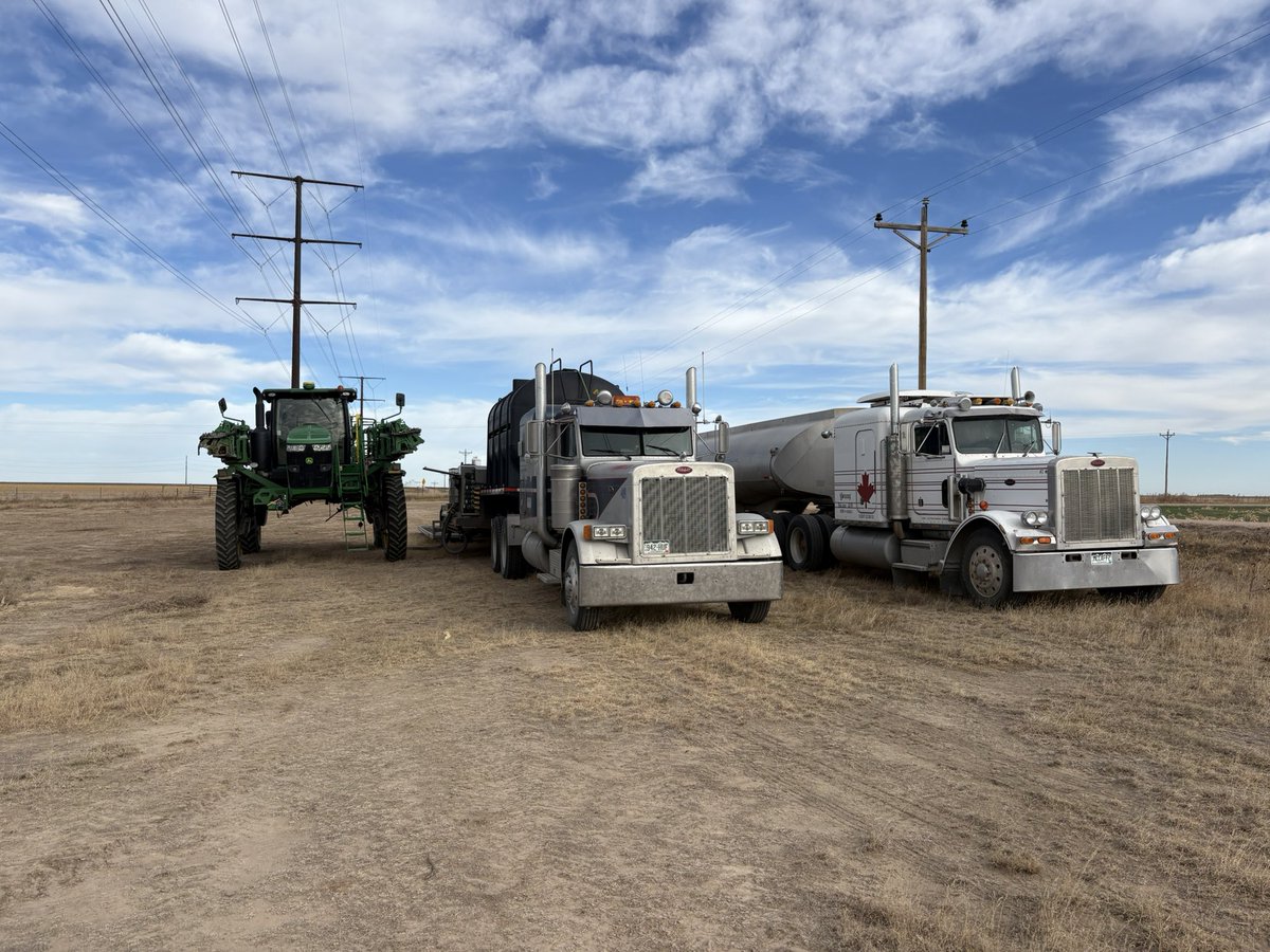 Justin McCaffrey tweet media