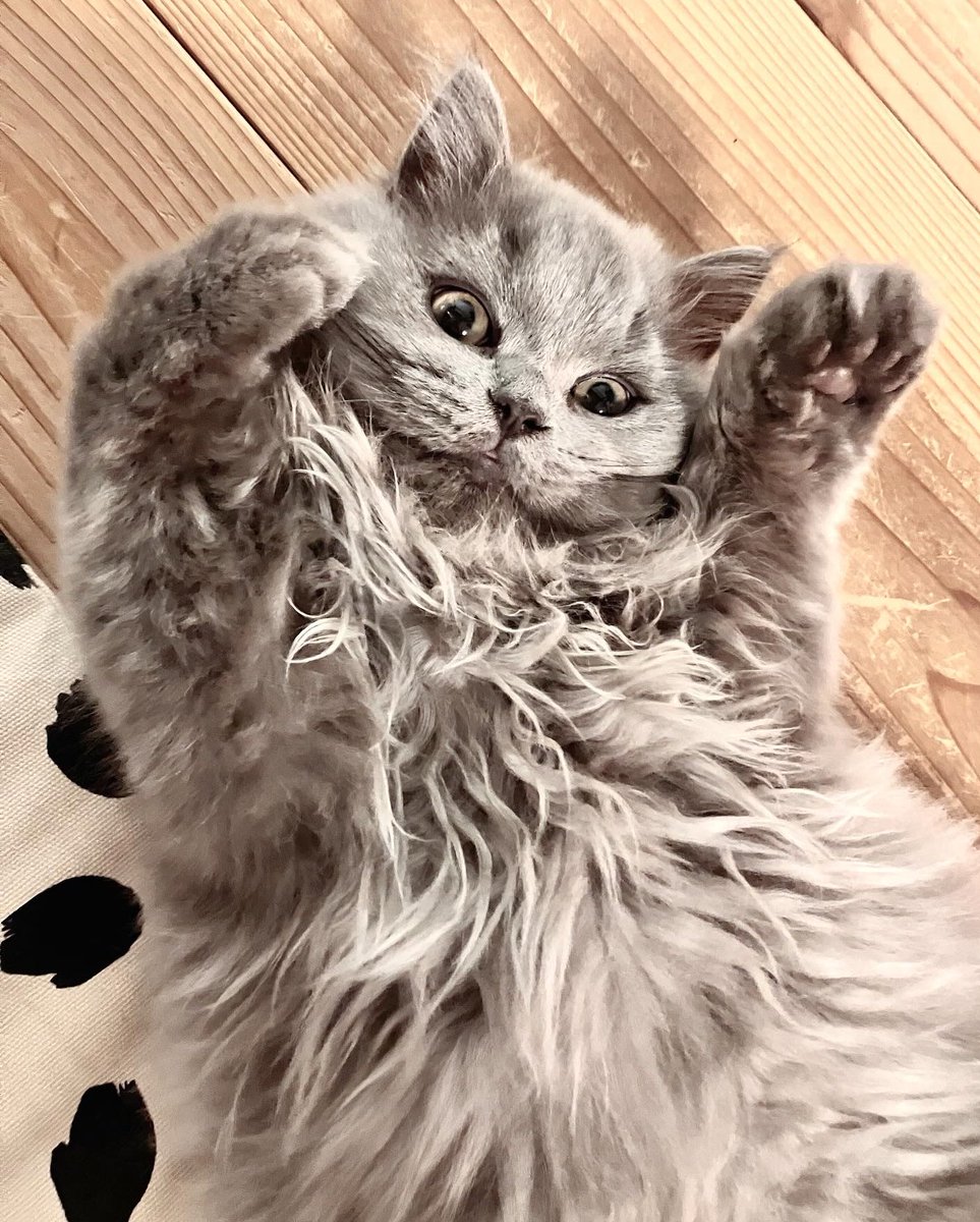 ほめてもらったよ。