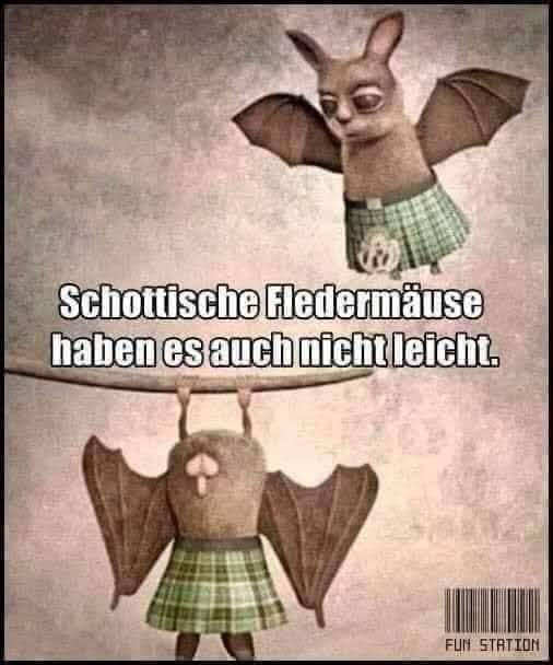 Aushilfsfee (@diewahreg0ttin) on Twitter photo 