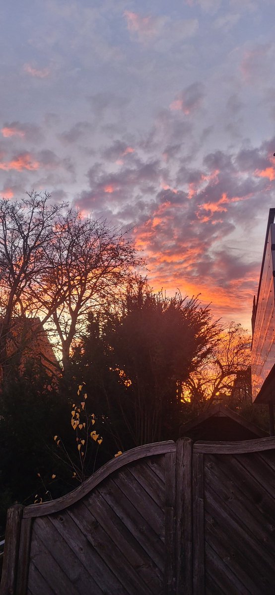 USiebmann's tweet image. Ein schönen Abend noch an Euch