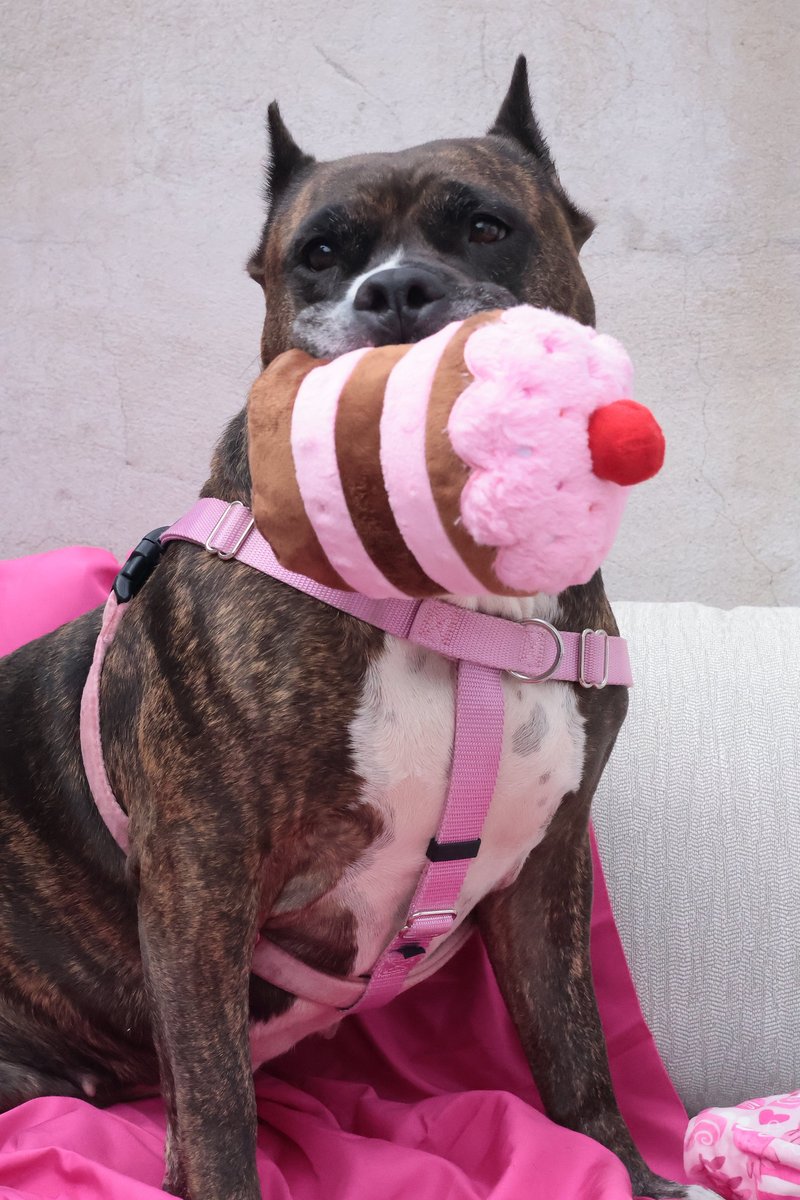 Flyers Charities & Community tweet media