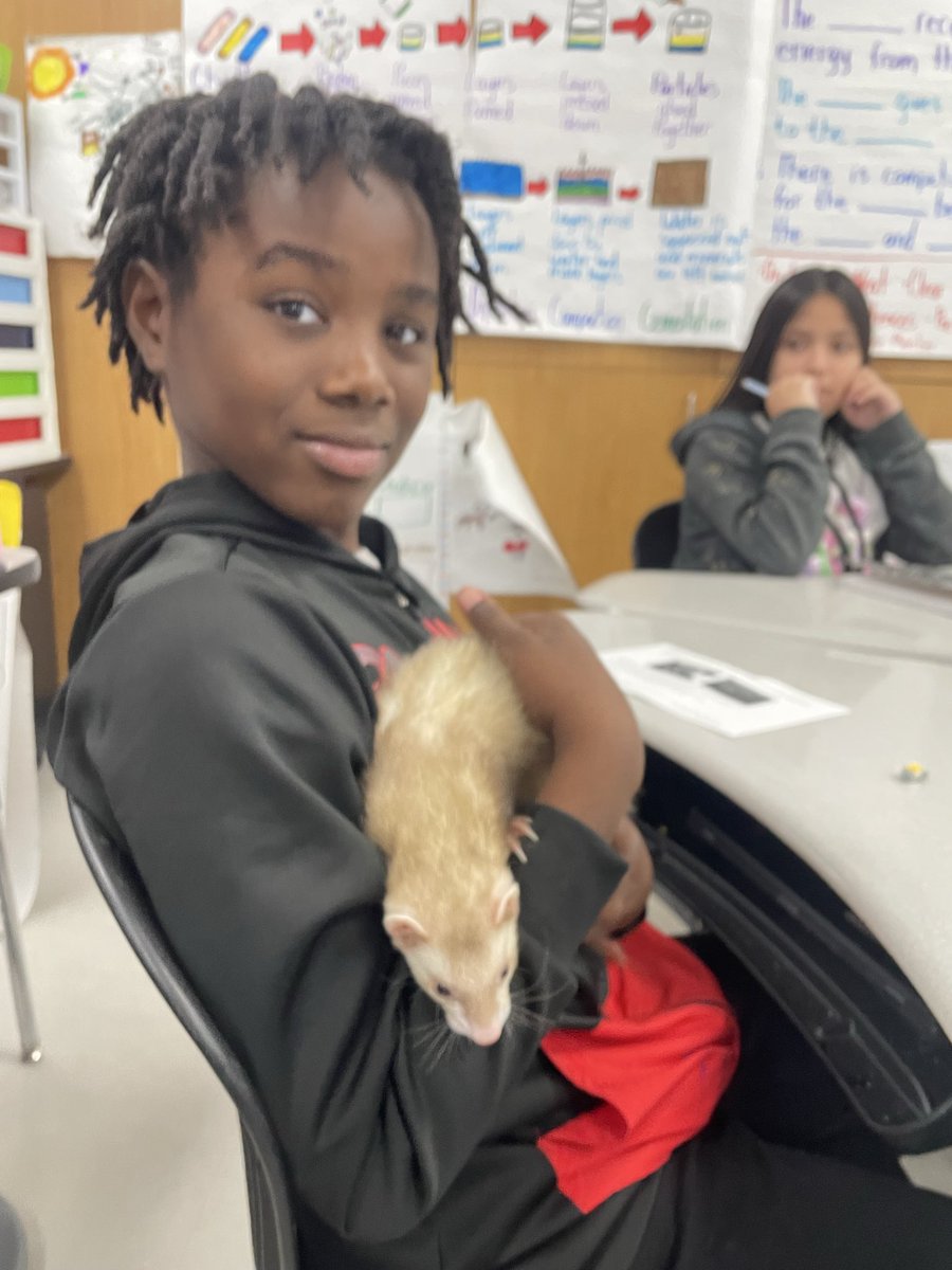 Jowell Jaguars tweet media