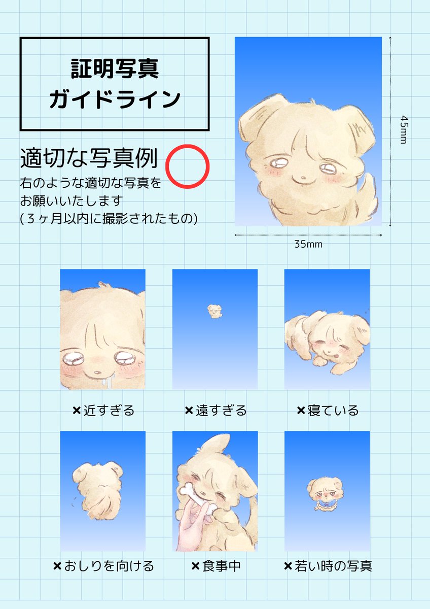 (ᐡ.  ̫ .ᐡ )ノ📸