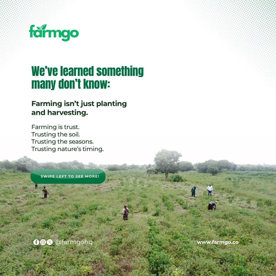 Farmgohq's tweet photo. https://t.co/YeequXqibt