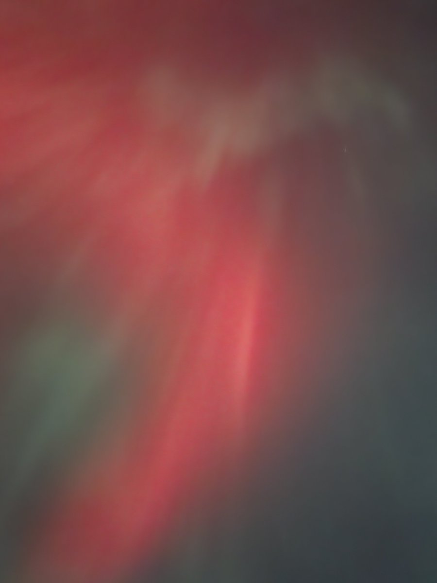 Nathan McKibben tweet media