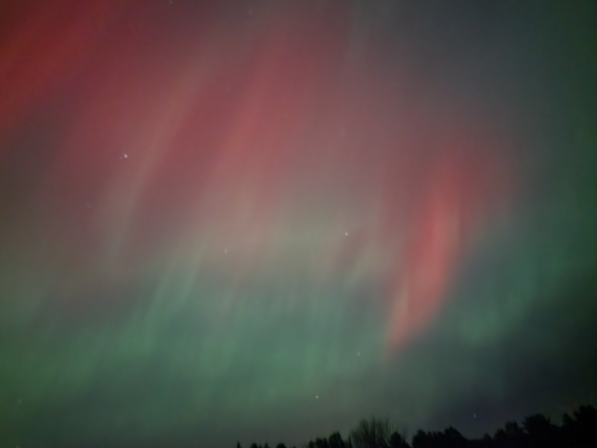 Nathan McKibben tweet media