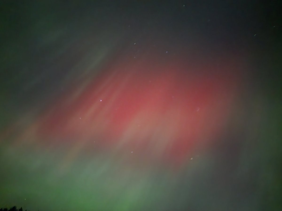 Nathan McKibben tweet media