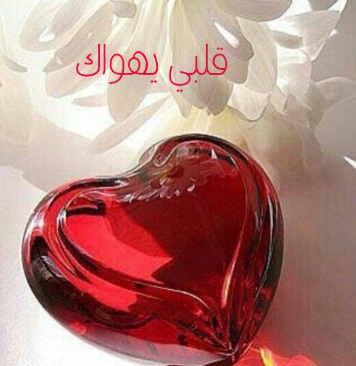 وليس الحُب أن تأخذ مكاناً في قلب أحدهم ،
ولكن الحُب أن يكون لك مكاناً لا يمكن لأحد أن يأخذه ❤️