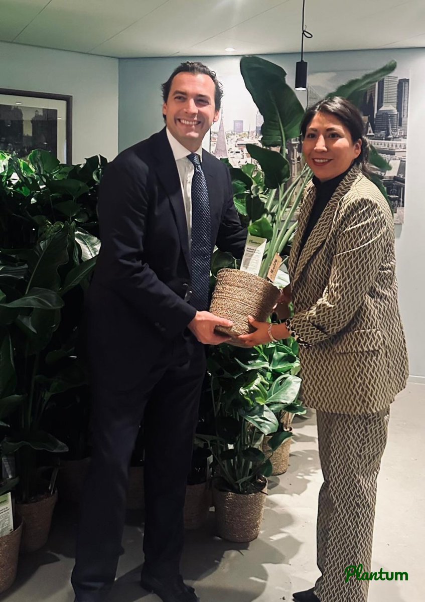 De zojuist beëdigde 150 Kamerleden hebben een #TweedeKamerplant vanuit onze sector ontvangen. Een groene werkplek zorgt voor frisse lucht én frisse ideeën!  

Want wij vinden bij een Kamerlid hoort een Kamerplant!🪴💚