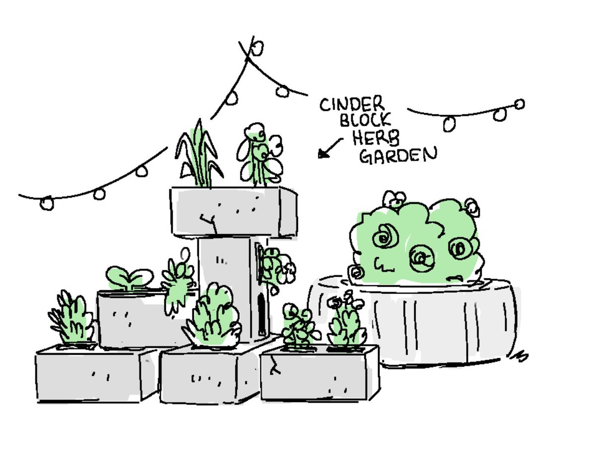 ryann shannon tweet media