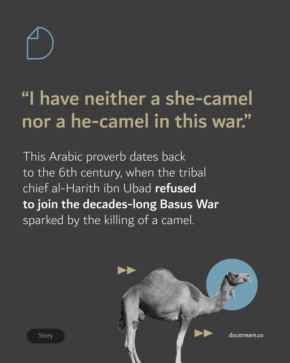 docstream_co's tweet image. English has a near-identical expression: “I don’t have a dog in this fight.”

#DocStreamStory #Arabic #English #language