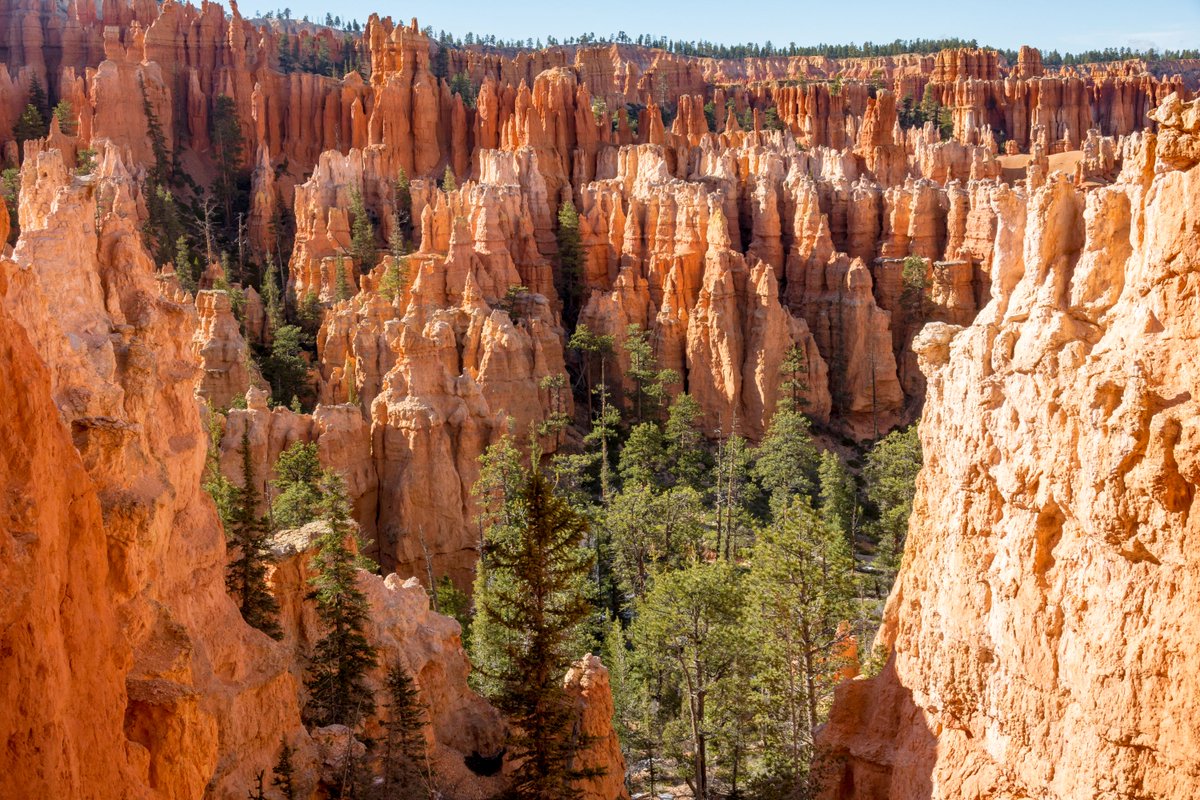 rubysinn's tweet image. 🏞️ Discover Bryce Canyon this fall! 🏞️
Take a scenic drive, stroll among colorful trees, and breathe in the crisp, warm air. Nature’s beauty is at its peak—and it’s all just outside your door. 🍁

#BryceCanyon #FallViews #RubysInn #NatureLovers #AutumnAdventure