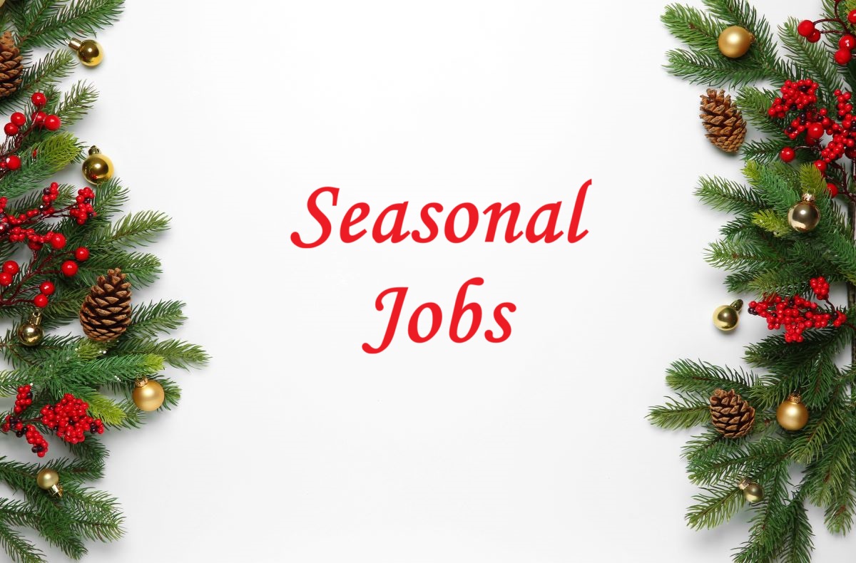 With Christmas just around the corner there are 1000s of temporary seasonal jobs on offer.

Gain valuable experience that could lead to bigger things.

FindAJob: ow.ly/ESTF50Xpe3S

Reed: ow.ly/FpSB50Xpe3T

TotalJobs: ow.ly/Jycs50Xpe3U

#SeasonalJobs