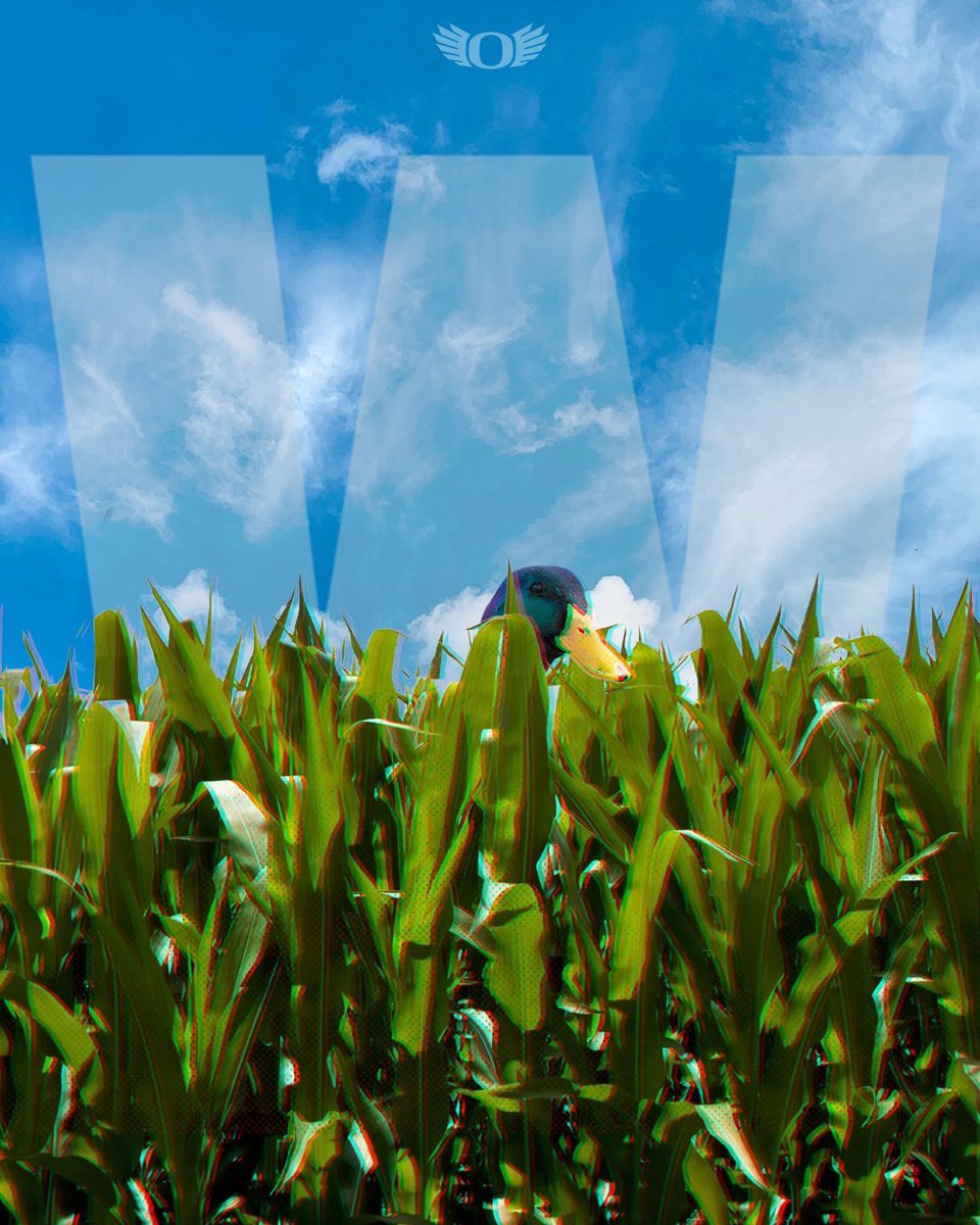 DuckZone5O3's tweet image. Big Dubs 🦆 🌽