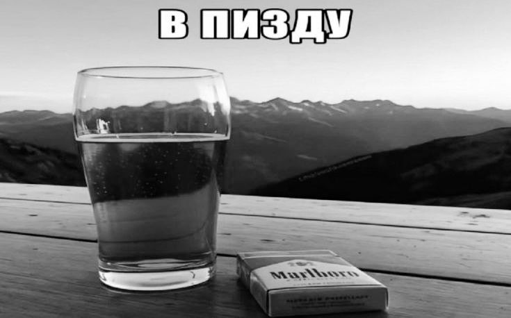 coli_esteb's tweet image. 