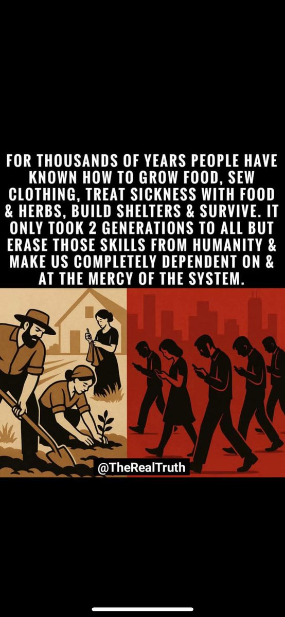 noynoy @succinctlabs (@markky121) on Twitter photo 