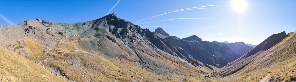 Franck Rando tweet media