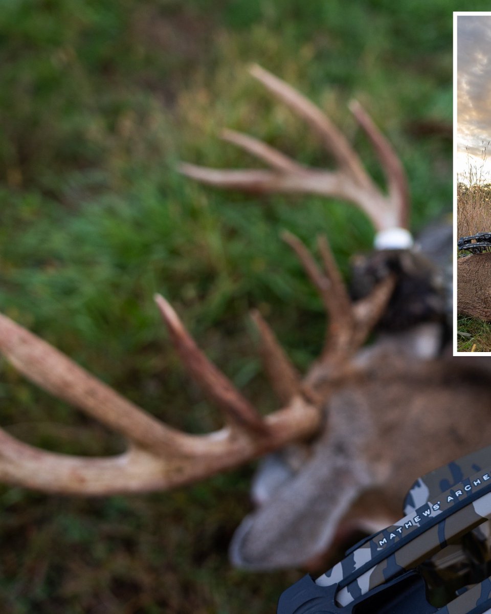 DruryOutdoors's tweet image. 11.12.25 — A new era 🏹
Introducing the @Mathews_Archery ARC. 
The SWX-2 cam technology is second to none. Blessed to be a bow hunter. #SetThePace

Learn more:
mathewsinc.com/pages/arc