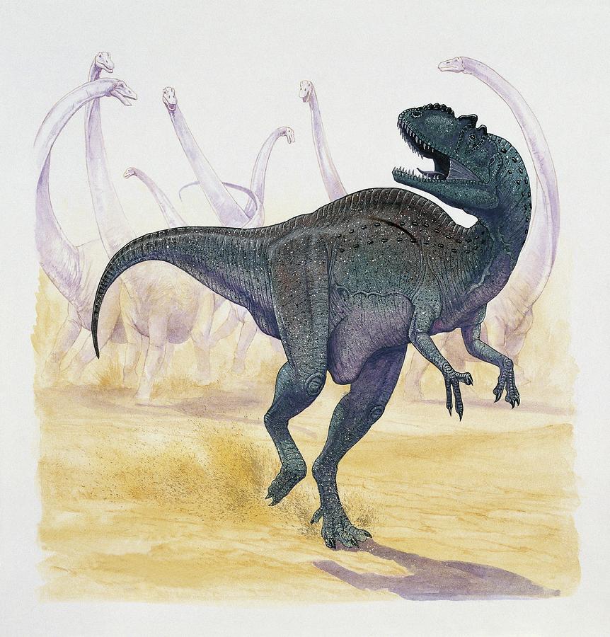 dinonostalgia's tweet photo. Yangchuanosaurus, the Yongchuan lizard, is a theropod dinosaur from the Late Jurassic of China. 

It lived from 168 to 145 million years ago and could grow to 11 meters in length. https://t.co/3DlQP3DwUZ