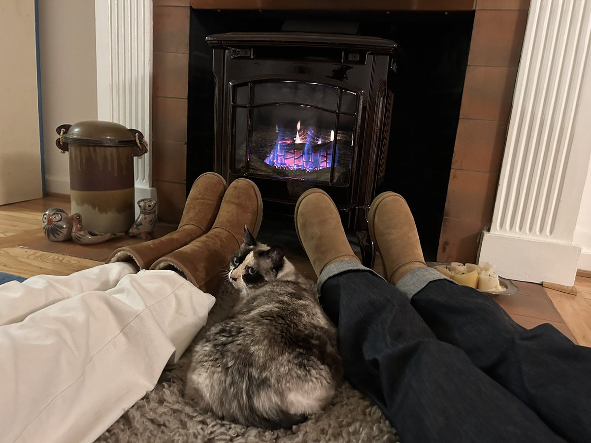 forestgrape's tweet image. 